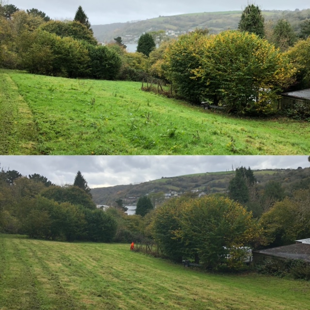 Cornish Trees & Gardens Ltd business image in Liskeard, Cornwall